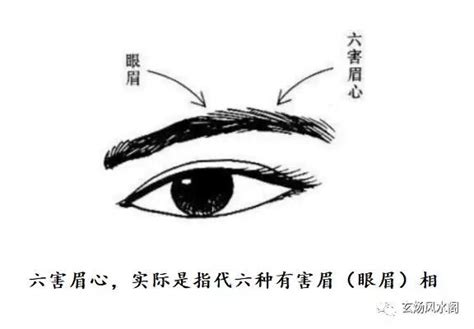 六害眉|姜群：“六害眉心亲义绝”，六种不利运势的眉相图解